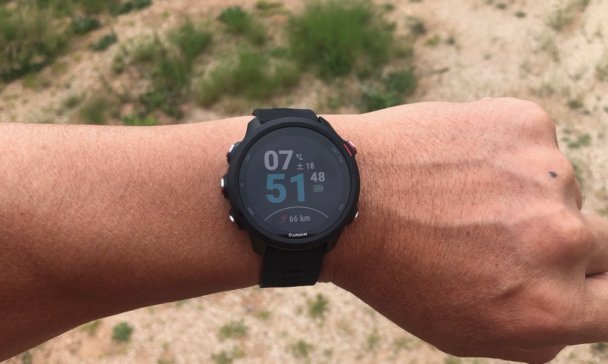 Garmin  ForeAthlete 245難しかったらスルーしてください